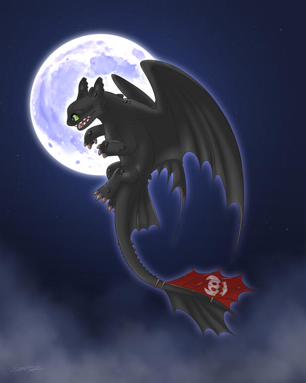 NEW ~ Toothless