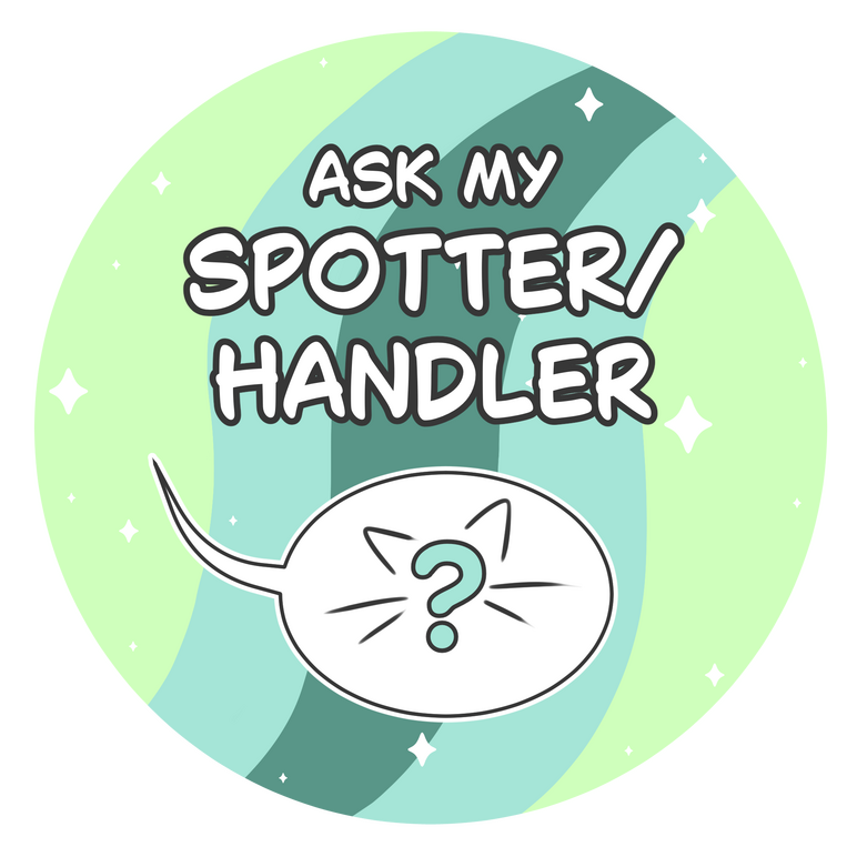 Ask spotter